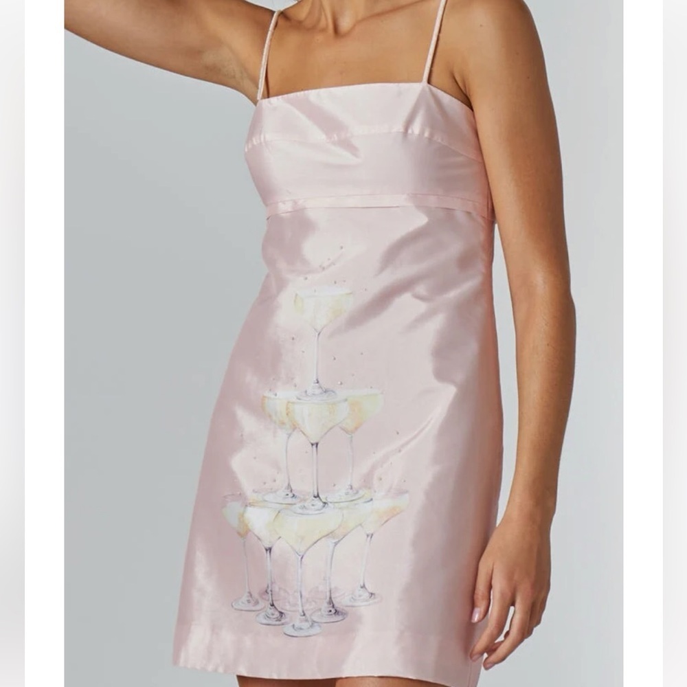 Rachel Antonoff Gwen Champagne Tower Dress 6
